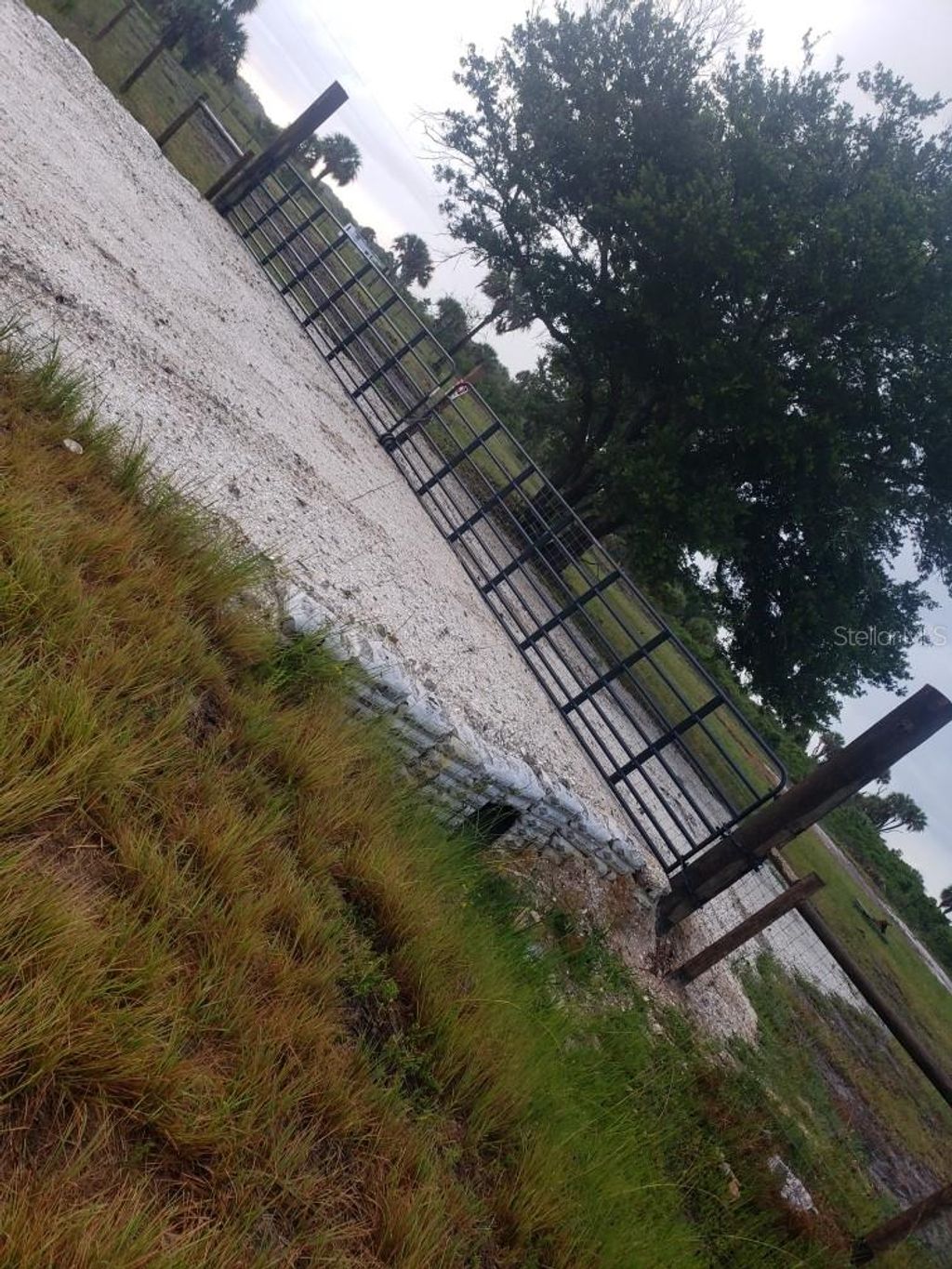 Photo of 15997 NW 286th Street, Okeechobee, FL 34972 (MLS # TB8469167)