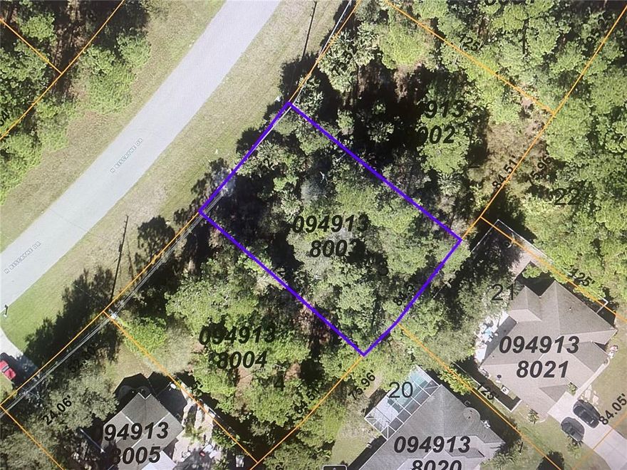This Great Lot  is located within minutes to riding trails, shopping, medical, schools, and quick access to I-75. Not located in a flood zone. No HOA, no deed restrictions. Lot is located very close to WARM MINERAL SPRINGS. Great investment opportunity to build your DREAM HOME!