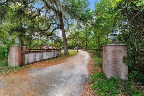 Tiny photo for 21990 NE Highway 27, Williston, FL 32696 (MLS # OM698836)