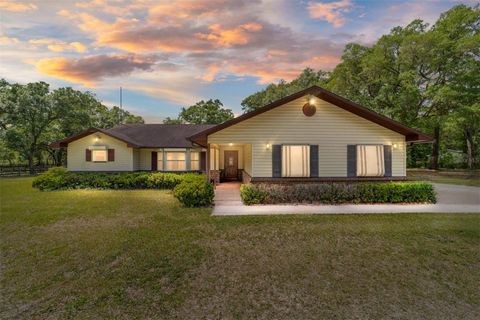 Tiny photo for 21990 NE Highway 27, Williston, FL 32696 (MLS # OM698836)