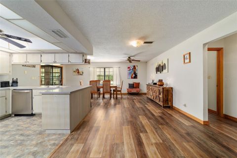 Tiny photo for 21990 NE Highway 27, Williston, FL 32696 (MLS # OM698836)