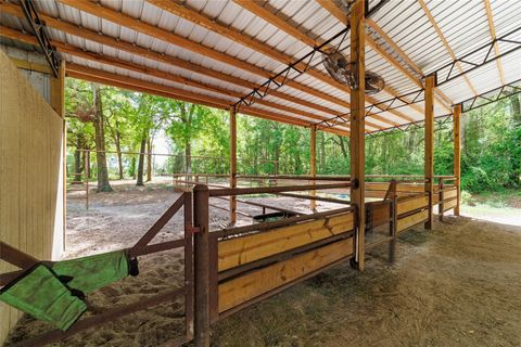 Tiny photo for 21990 NE Highway 27, Williston, FL 32696 (MLS # OM698836)
