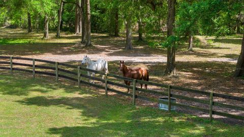Tiny photo for 21990 NE Highway 27, Williston, FL 32696 (MLS # OM698836)