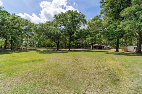 Tiny photo for 21990 NE Highway 27, Williston, FL 32696 (MLS # OM698836)