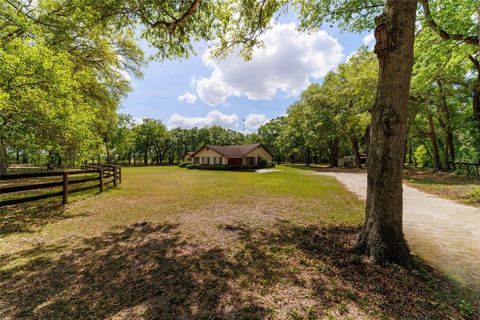 Tiny photo for 21990 NE Highway 27, Williston, FL 32696 (MLS # OM698836)