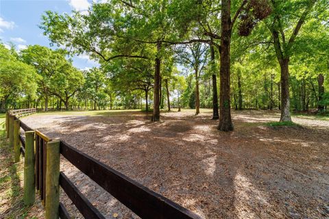 Tiny photo for 21990 NE Highway 27, Williston, FL 32696 (MLS # OM698836)