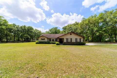 Photo of 21990 NE Highway 27, Williston, FL 32696 (MLS # OM698836)