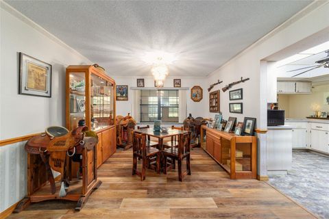 Tiny photo for 21990 NE Highway 27, Williston, FL 32696 (MLS # OM698836)