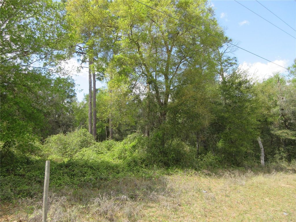 Photo of 0 SE 180 Ave Road, Ocklawaha, FL 32179 (MLS # OM697646)