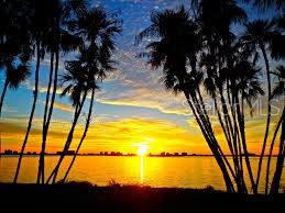 VIRGINIA GROVES ESTATES 1ST ADD - Residential