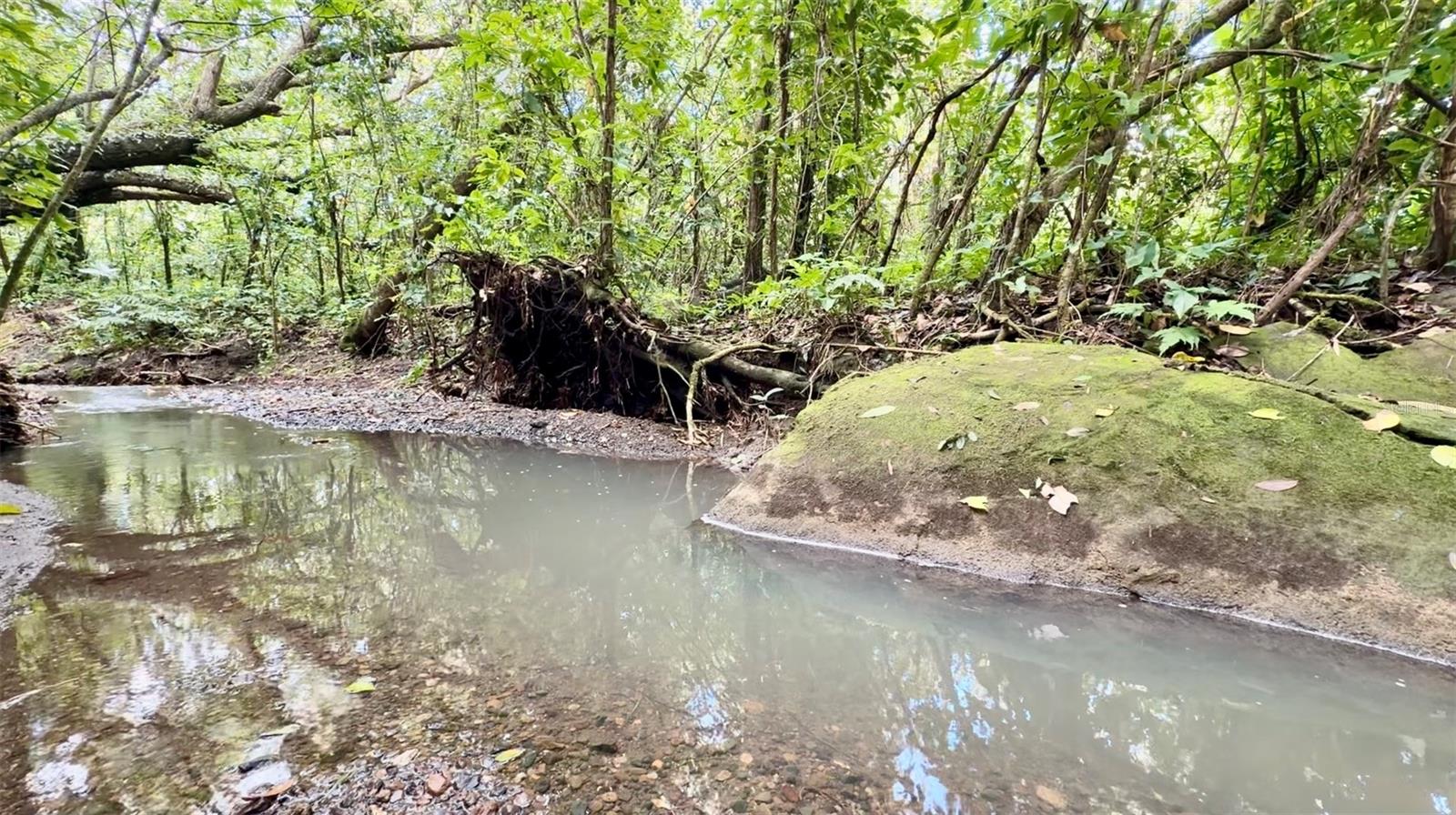 BO. CACAO - Residential