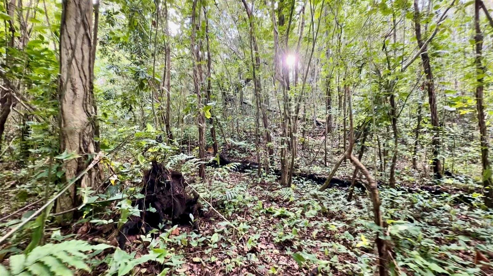 BO. CACAO - Residential