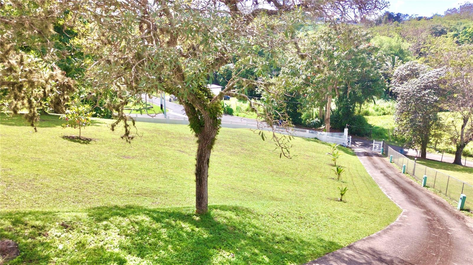 BO. CACAO - Residential