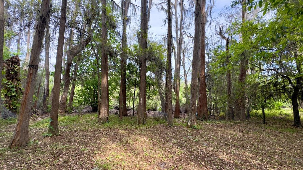 Photo of 12341 Deer Lake Drive, New Port Richey, FL 34654 (MLS # W7884037)