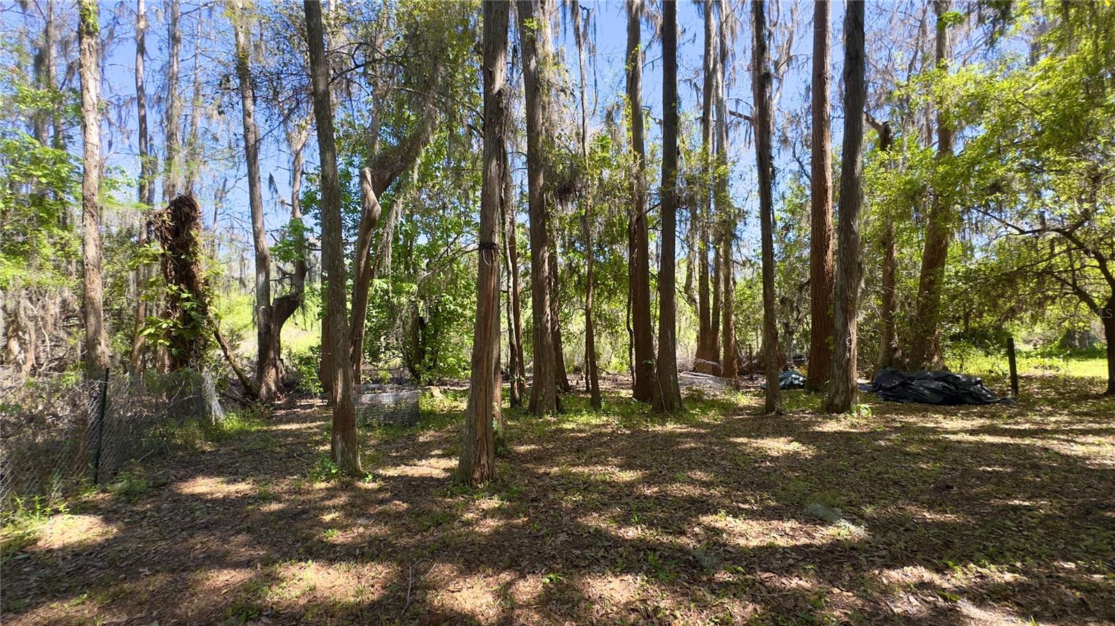 MOON LAKE ESTATES UNIT 11 - Residential