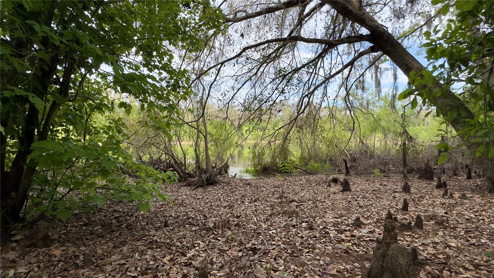 MOON LAKE ESTATES UNIT 11 - Residential