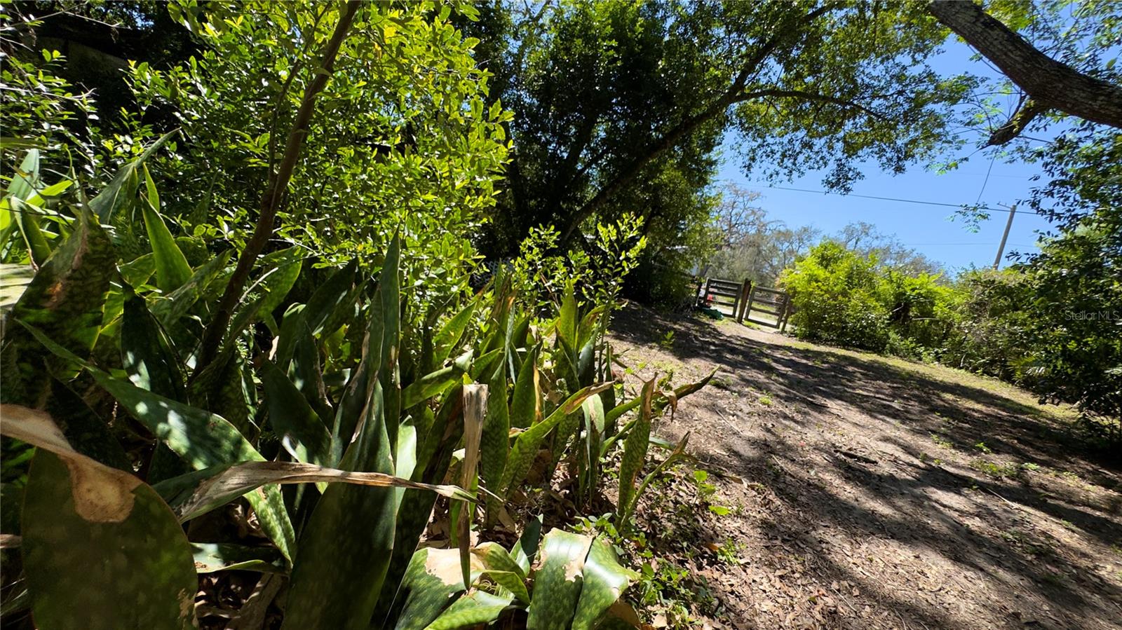 MOON LAKE ESTATES UNIT 11 - Residential