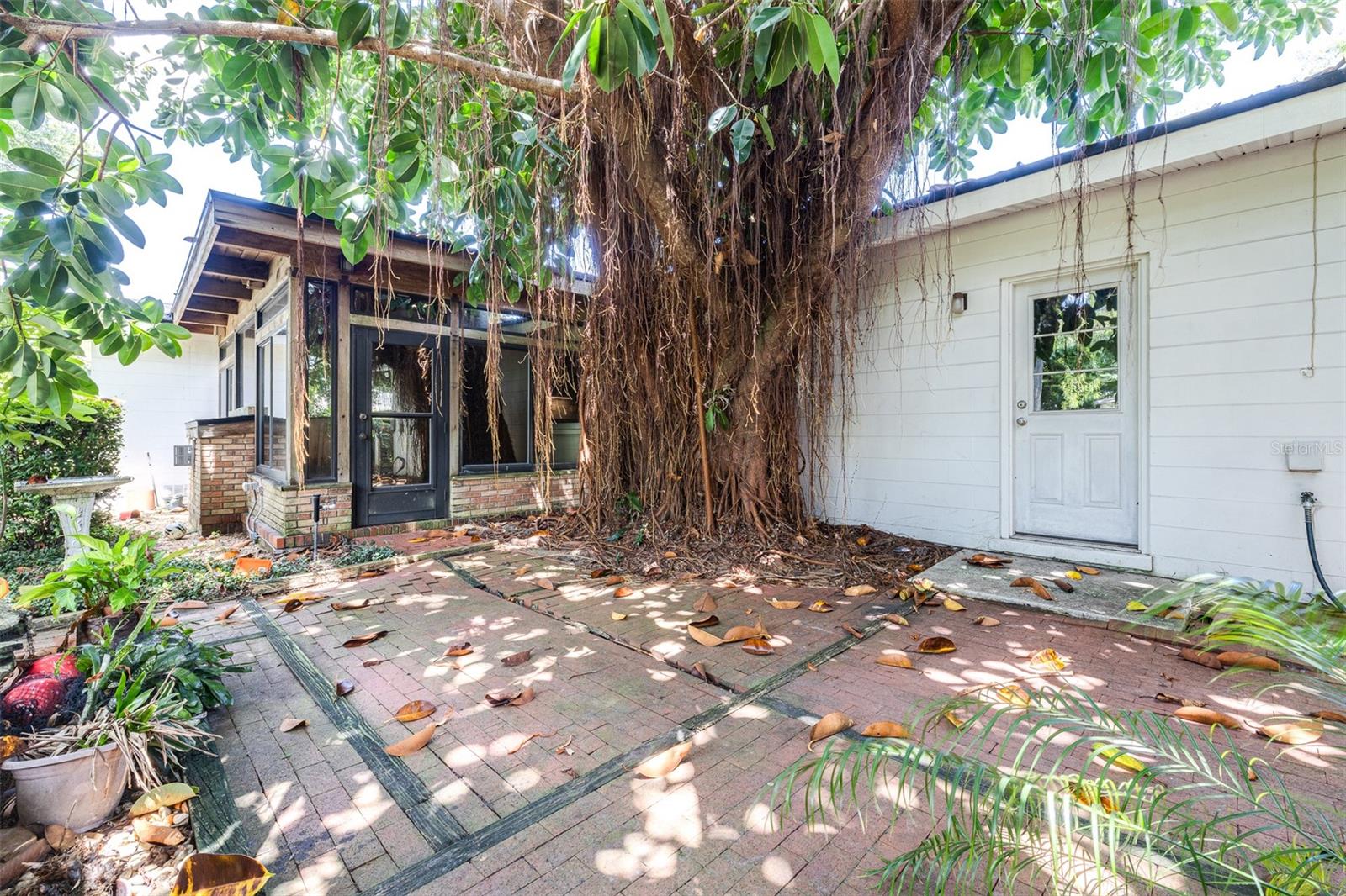 Photo 63 of 83 of 509 ROB ROY STREET house