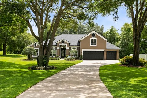 A home in APOPKA