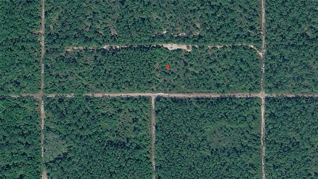 Photo of 21 Olson Street, Hastings, FL 32145 (MLS # D6147431)