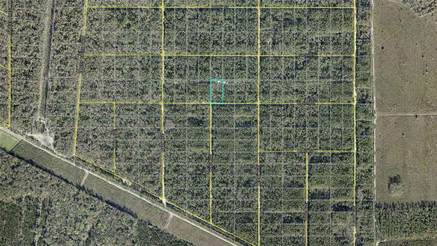 Discover the opportunity to own a slice of Old Florida in the growing Flagler Estates area of Flagler County! This vacant lot on Olson St offers a peaceful rural setting surrounded by natural beauty, wooded landscapes, and spacious surroundings. Whether you're looking to build your dream home, invest for the future, or enjoy extra privacy away from the busy city, this property provides endless potential. Conveniently located with access to major roadways, the property is within driving distance to Hastings, Palm Coast, St. Augustine, shopping, dining, schools, and Florida’s beautiful beaches. Enjoy country-style living while still being close to everyday conveniences. No HOA and plenty of room to create the lifestyle you’ve been looking for!