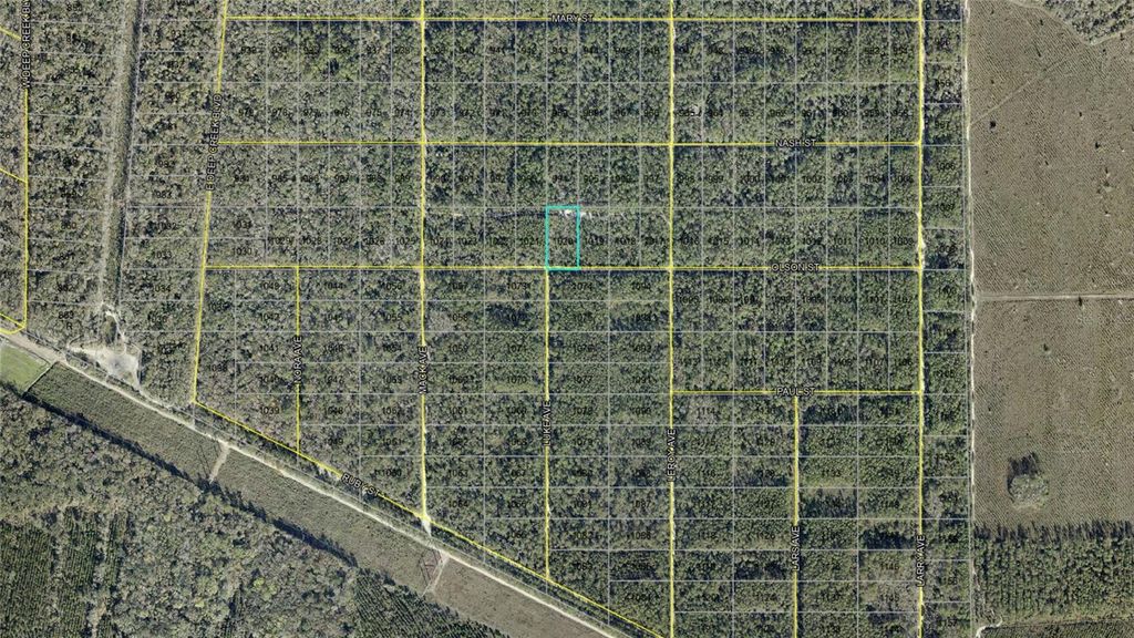 Photo of 21 Olson Street, Hastings, FL 32145 (MLS # D6147431)