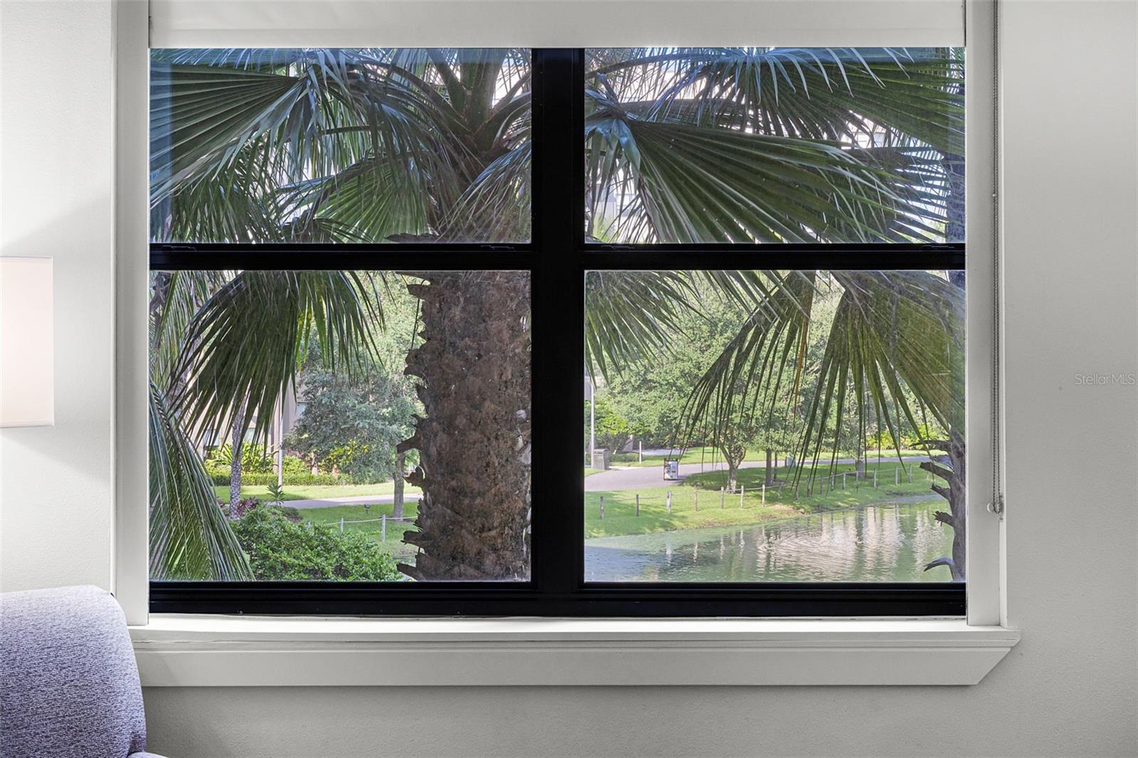 GROVE RESORT - Residential