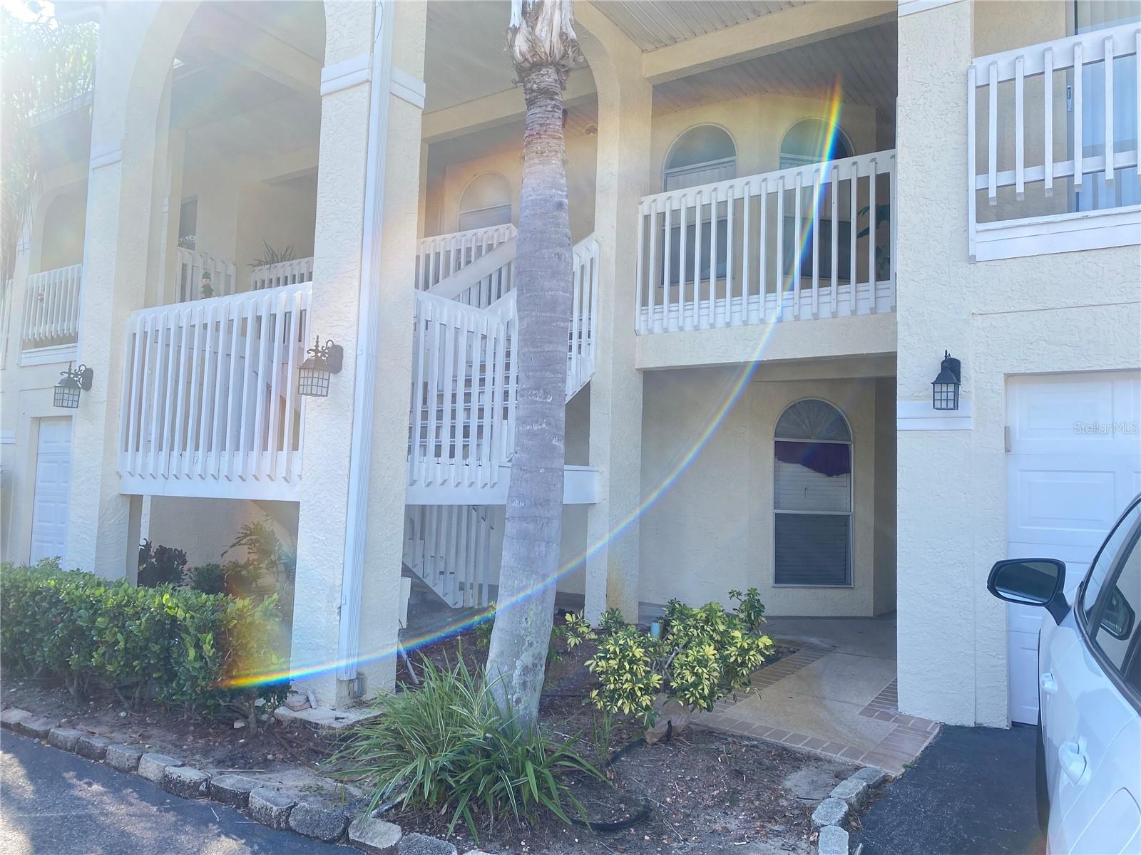 3204 SABAL PALMS COURT B