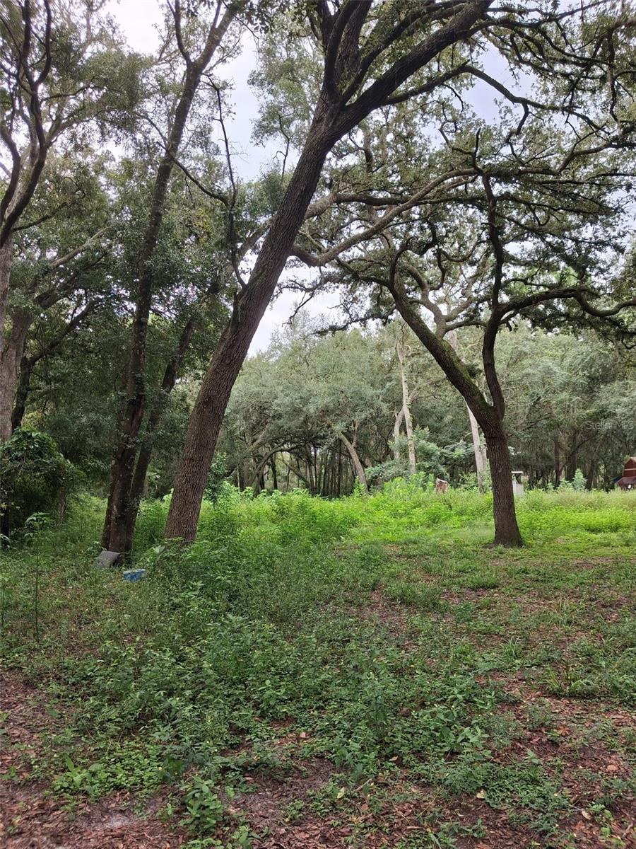 7484 SW 150TH STREET