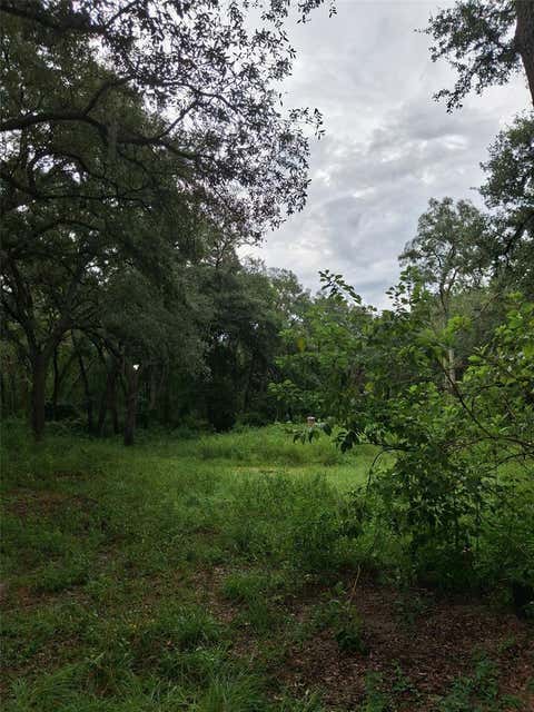 Tiny photo for 7484 SW 150th Street, Dunnellon, FL 34432 (MLS # OM729616)