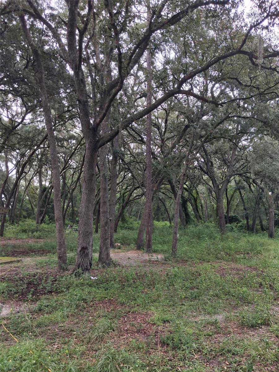 7484 SW 150TH STREET