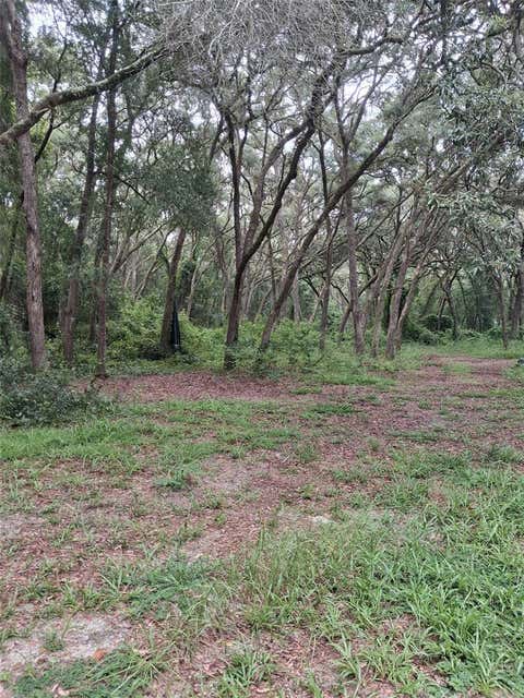 Tiny photo for 7484 SW 150th Street, Dunnellon, FL 34432 (MLS # OM729616)