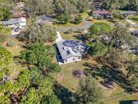 A home in DADE CITY