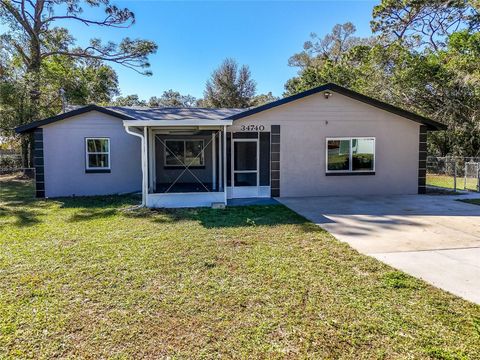 A home in DADE CITY