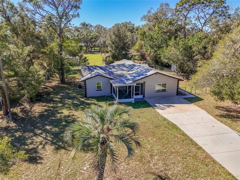 A home in DADE CITY