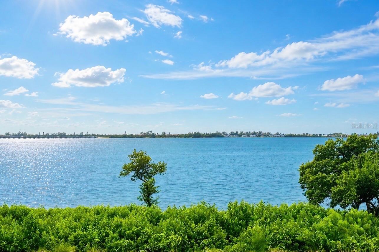 264 SAINT LUCIA DRIVE 201