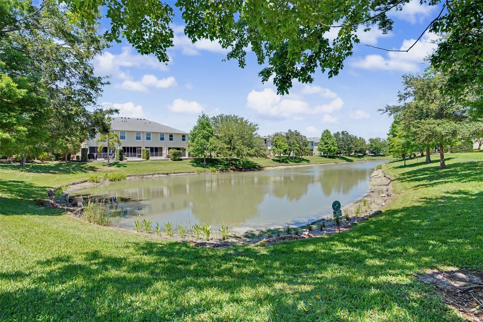 HARBOR RIDGE OF PALM HARBOR - Residential