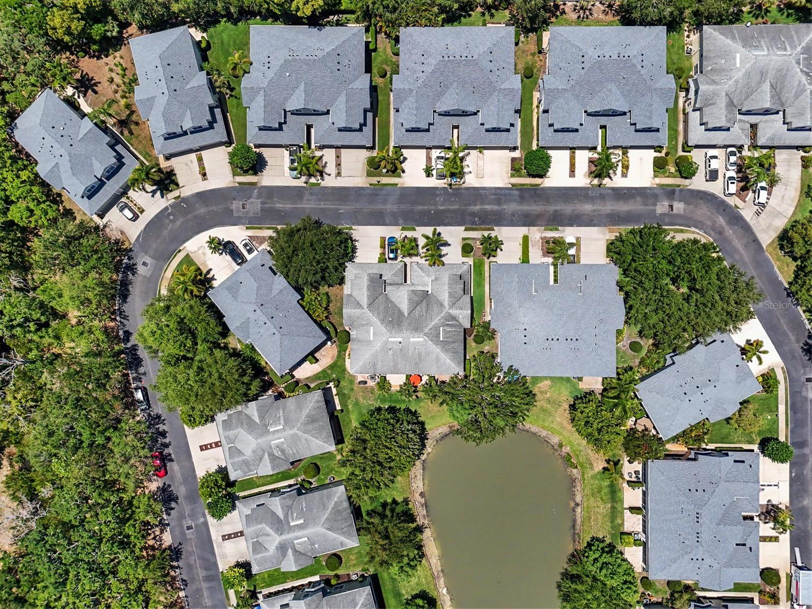 HARBOR RIDGE OF PALM HARBOR - Residential
