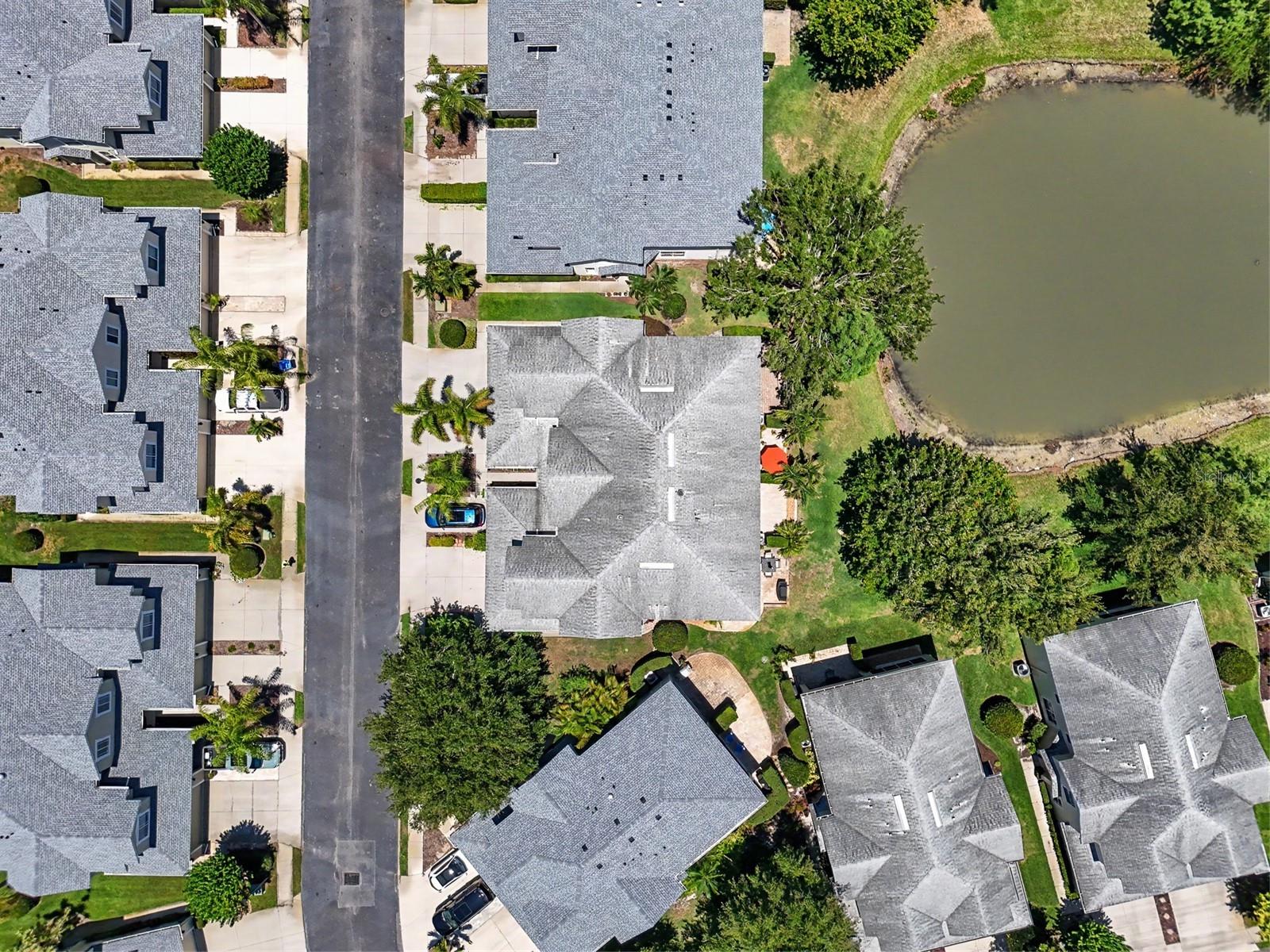 HARBOR RIDGE OF PALM HARBOR - Residential