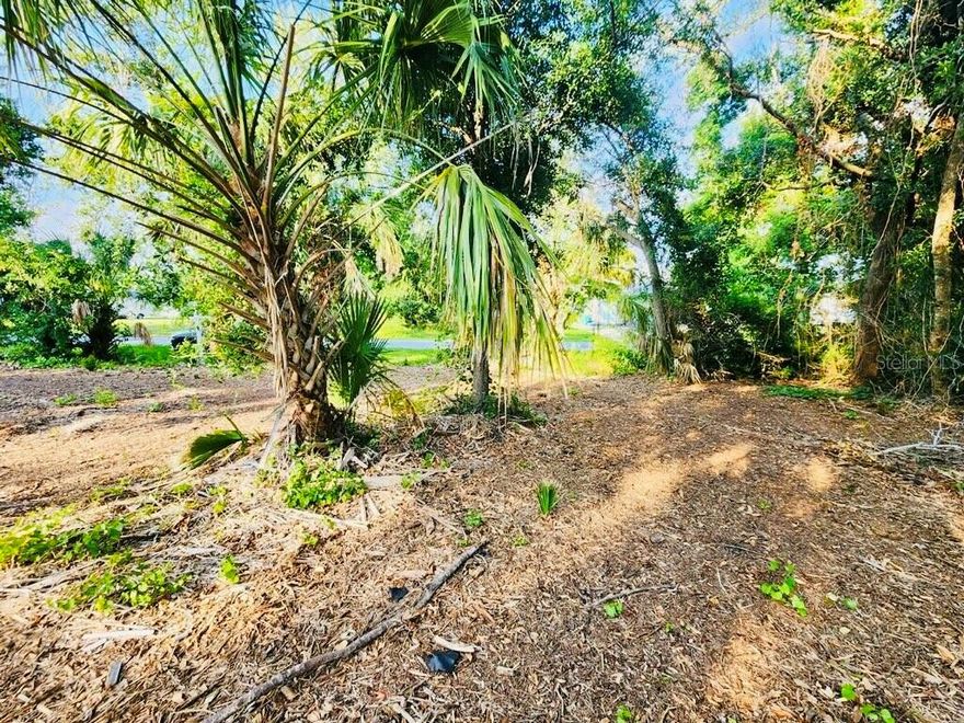 Introducing 2395 Triton Ter, Punta Gorda, Florida 33983! This remarkable property offers a unique opportunity for those seeking a prime location to build their dream home. Situated in the coveted neighborhood of Harbor Heights, this lot boasts several desirable features that make it an ideal choice for prospective buyers.
<br>
<br/>
Spread across three partially cleared lots, this property provides ample space and flexibility to accommodate your vision. Whether you envision a spacious family home or a private retreat, the options are endless.
<br>
<br/>
One of the standout features of this property is its close proximity to the boat ramp, located just half a mile away. For water enthusiasts and boaters, this convenient access ensures that you can easily embark on exciting adventures and explore the beautiful waterways of Punta Gorda.
<br>
<br/>
Perfect for those looking to escape the hustle and bustle of city life, this lot is nestled in the peaceful community of Harbor Heights. Immerse yourself in the tranquility of this serene neighborhood while still enjoying easy access to nearby amenities, including shopping, dining, and entertainment options.
<br>
<br/>
With its partially cleared lots, this property is ready to build, saving you time and effort. Take advantage of this opportunity to design and construct your ideal home, tailored to your unique preferences and lifestyle.