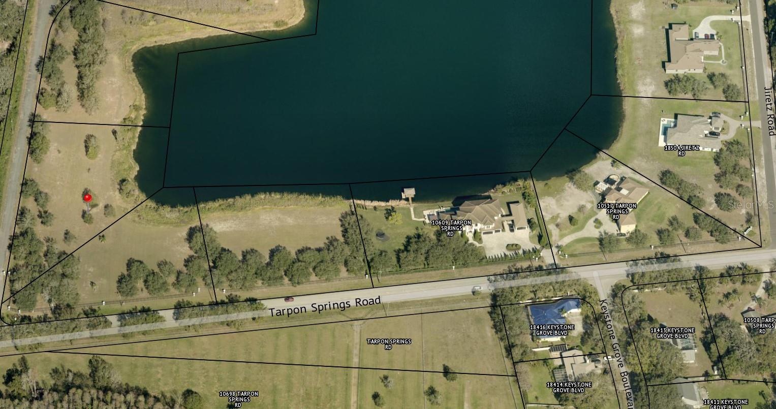 Must See~ Lake Front Homesite in Prestigious Swan Cove ~ An Estate Style Gated Community of Only 15 Homesites on a 33 Acre Lake Abray!! This Lot is 1.77 Acres and Boasts 154 Feet of Lake Frontage On Lake Abray!! Pick Your Own Builder to Design Your Custom Dream Lake House!! Odessa is an Established Charming Community with Easy Access to the Tampa Airport, All the Golf Courses and Polo Courts in Tampa Bay! Enjoy Endless Shopping and Fine Dining Options Nearby!! These Gems do not Come for Sale Often, Secure This Incredible Lakefront Lot Today!! Title is clear and ready to Convey!!
