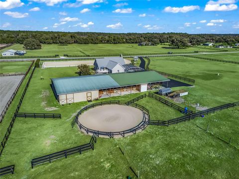 Tiny photo for 19830 SE 15th Place, Morriston, FL 32668 (MLS # OM718146)