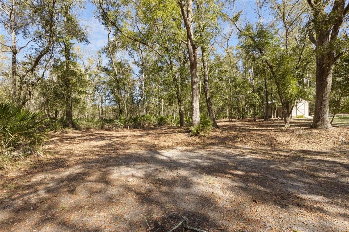 OLD TOWN FOREST - Residential