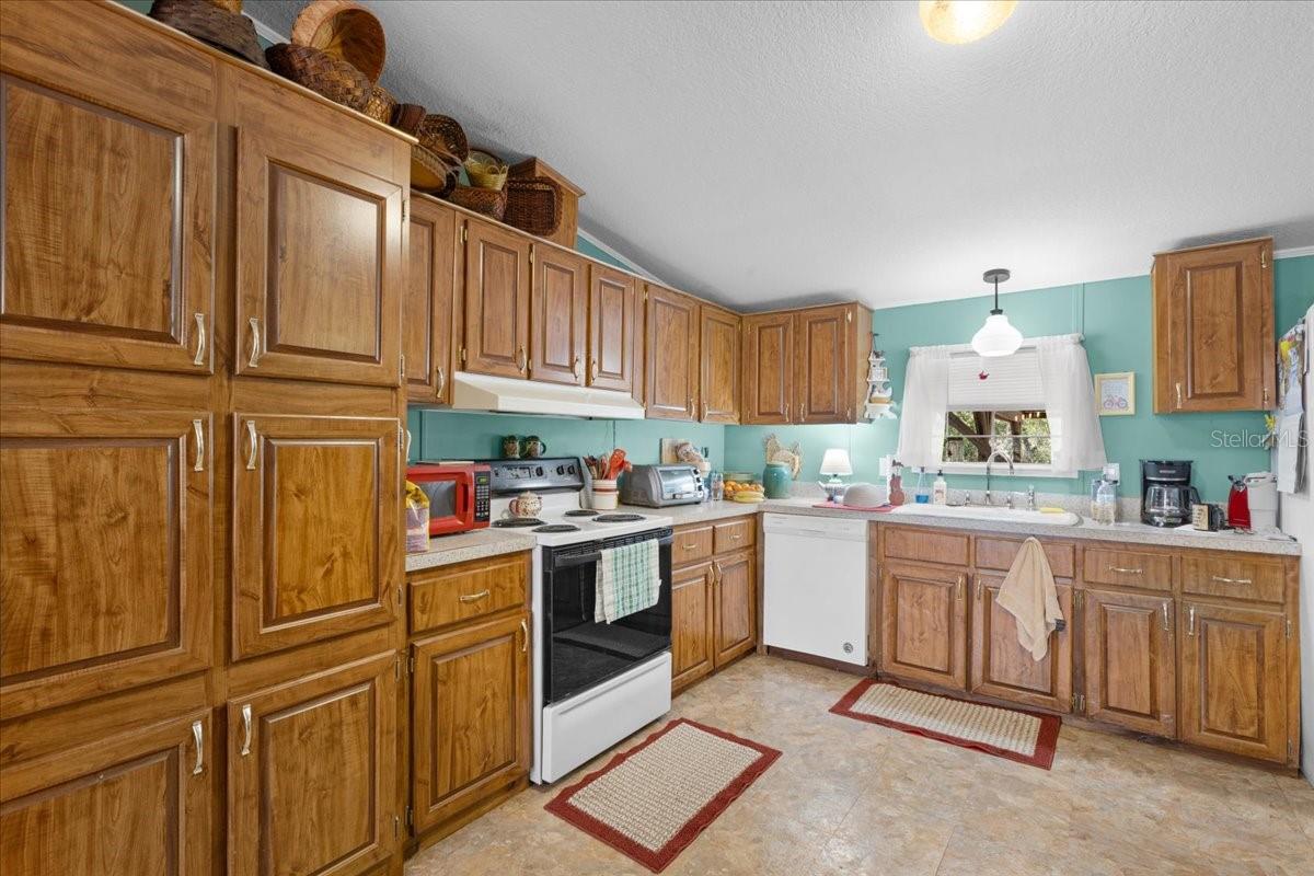 OLD TOWN FOREST - Residential