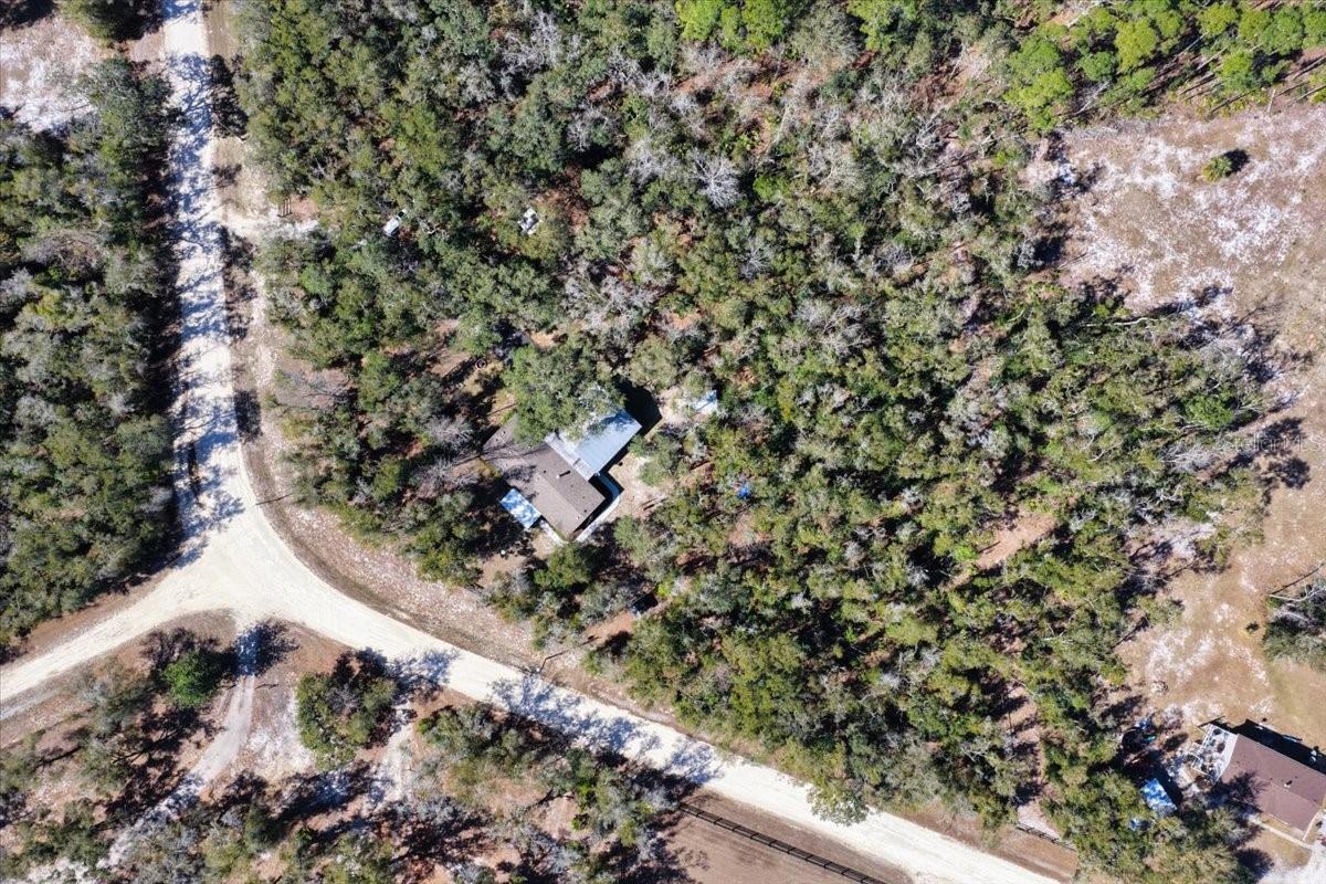 OLD TOWN FOREST - Residential