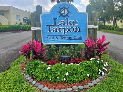 A home in TARPON SPRINGS