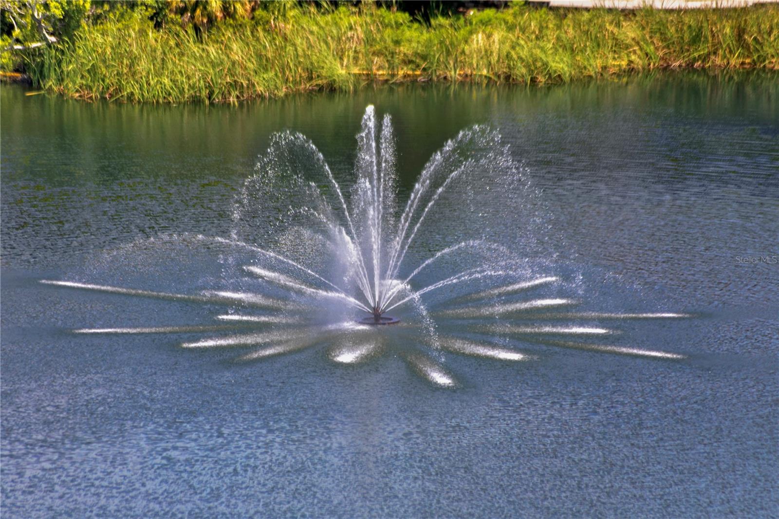 REFLECTION ST PETE - Residential Lease