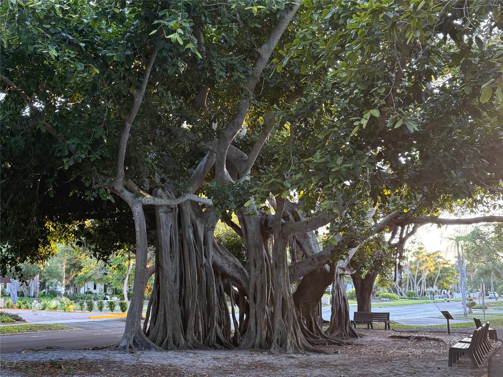 WATERCREST UN 1 - Residential