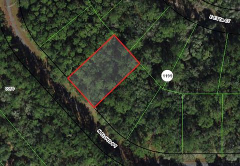 8095 N FLOYD POINT CITRUS SPRINGS FL 34434