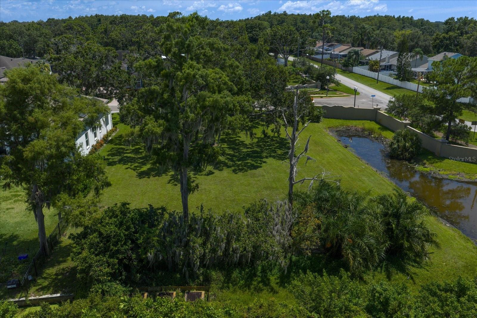 ESTATES OF LAKE TARPON - Land
